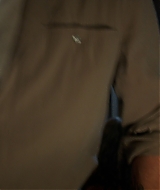 2565.jpg