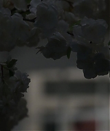 Filename=3533.jpg
Filesize=240KiB
Dimensions=1920x800
Date added=Feb 05, 2026 3533.jpg