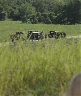 244.jpg